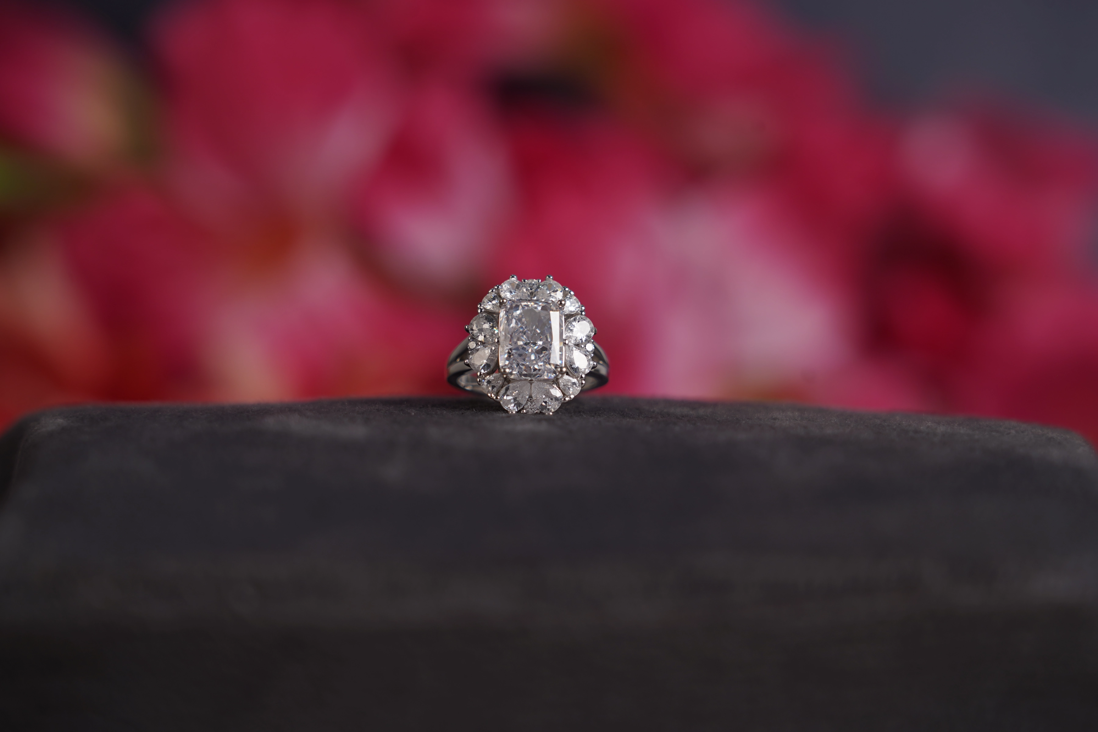 Ring #7